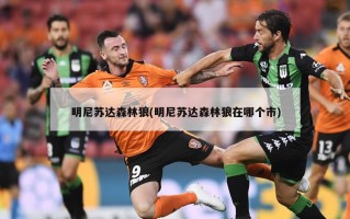 明尼苏达森林狼(明尼苏达森林狼在哪个市)