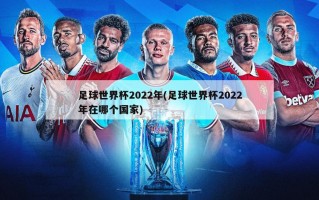 足球世界杯2022年(足球世界杯2022年在哪个国家)