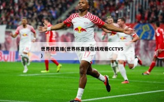 世界杯直播(世界杯直播***CCTV5)
