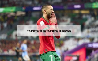 2015***决赛(2015***决赛冠军)