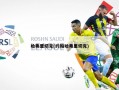哈弗里切克(约翰哈弗里切克)