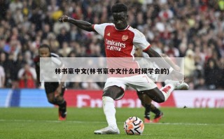林书豪中文(林书豪中文什么时候学会的)