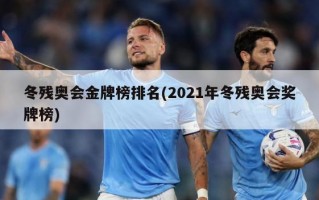 冬残奥会金牌榜排名(2021年冬残奥会奖牌榜)