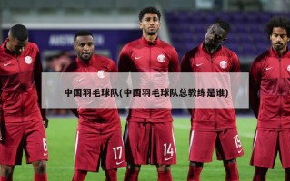 中国羽毛球队(中国羽毛球队总教练是谁)